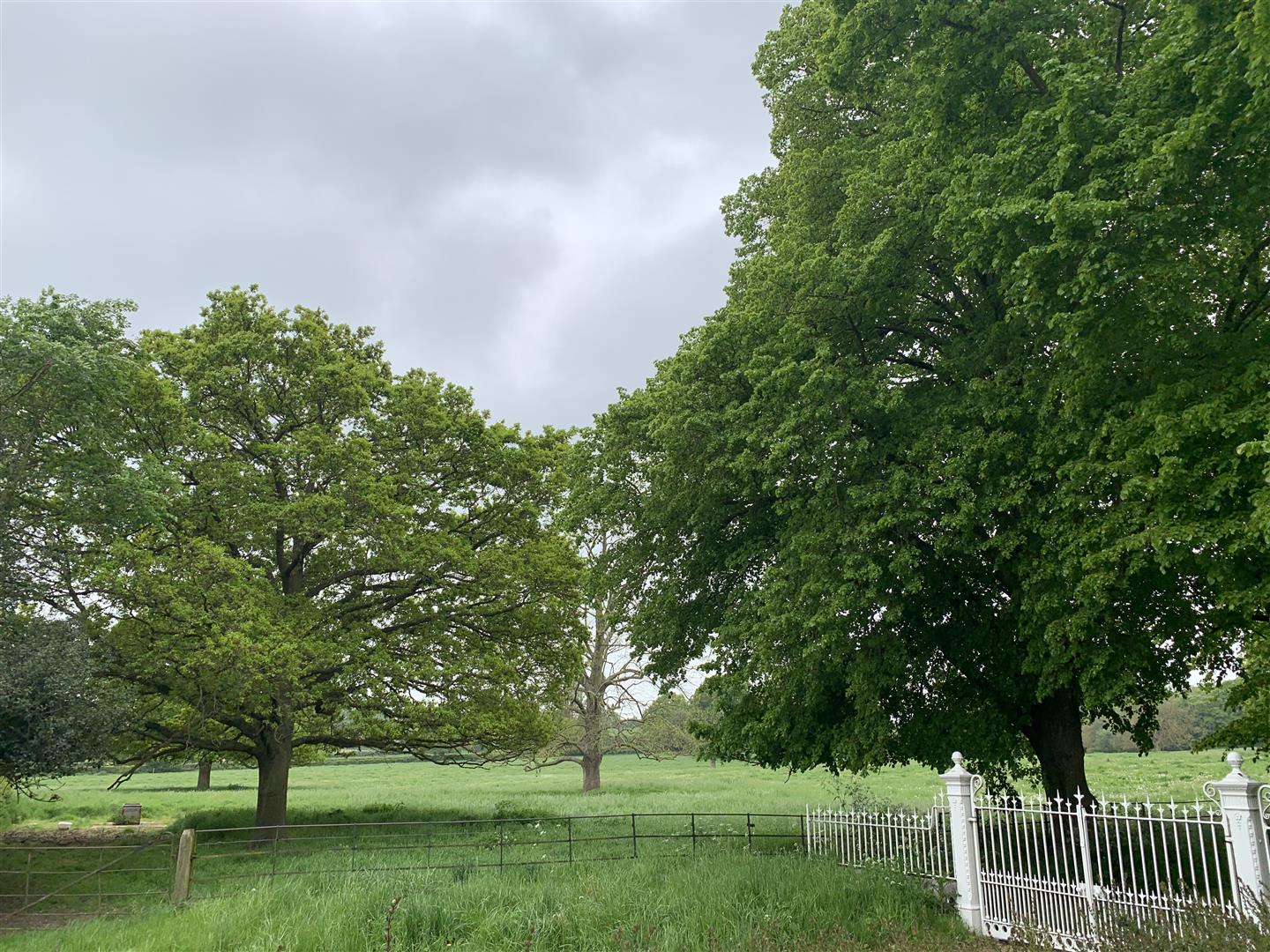 Stoke By Nayland, Colchester property photo